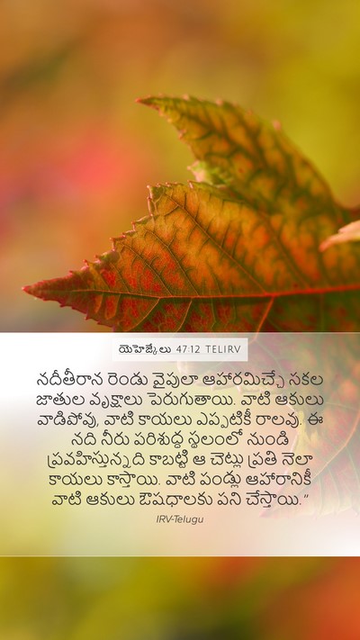 యెహెజ్కేలు 47:12 TELIRV Bible Verse Image