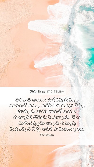 యెహెజ్కేలు 47:2 TELIRV Mobile Phone Wallpaper - తరవాత ఆయన ఉత్తరపు - Mobile Bible Verse Wallpaper