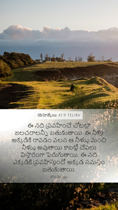 యెహెజ్కేలు 47:9 TELIRV Bible Verse Image
