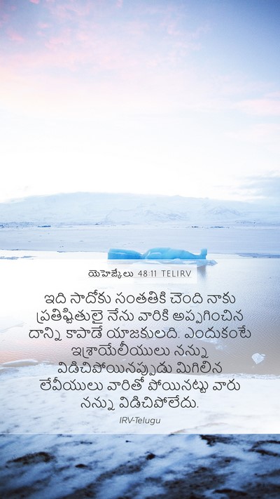 యెహెజ్కేలు 48:11 TELIRV Bible Verse Image