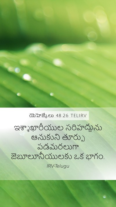 యెహెజ్కేలు 48:26 TELIRV Mobile Phone Wallpaper - ఇశ్శాఖారీయుల - Mobile Bible Verse Wallpaper
