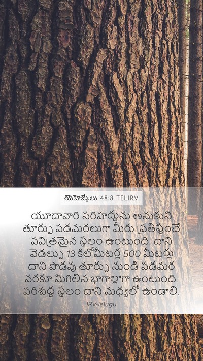 యెహెజ్కేలు 48:8 TELIRV Mobile Phone Wallpaper - యూదావారి - Mobile Bible Verse Wallpaper