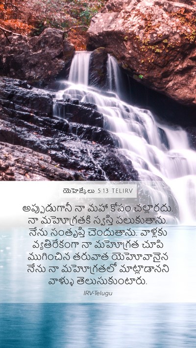 యెహెజ్కేలు 5:13 TELIRV Bible Verse Image