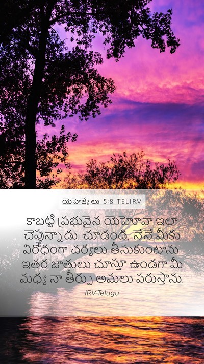 యెహెజ్కేలు 5:8 TELIRV Bible Verse Image