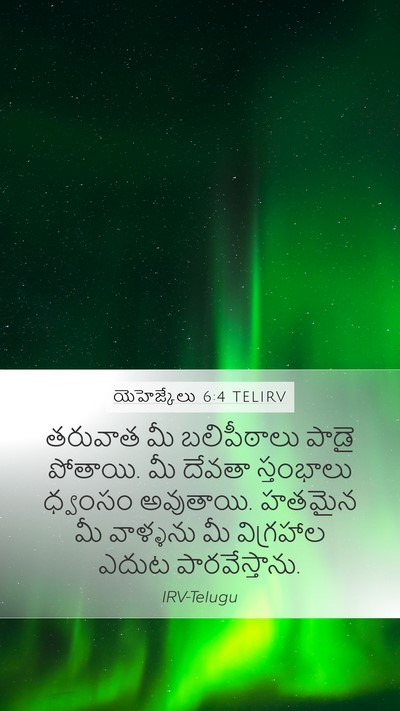 యెహెజ్కేలు 6:4 TELIRV Bible Verse Image