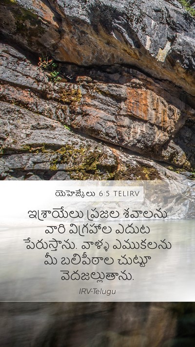 యెహెజ్కేలు 6:5 TELIRV Bible Verse Image