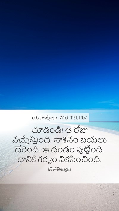 యెహెజ్కేలు 7:10 TELIRV Bible Verse Image