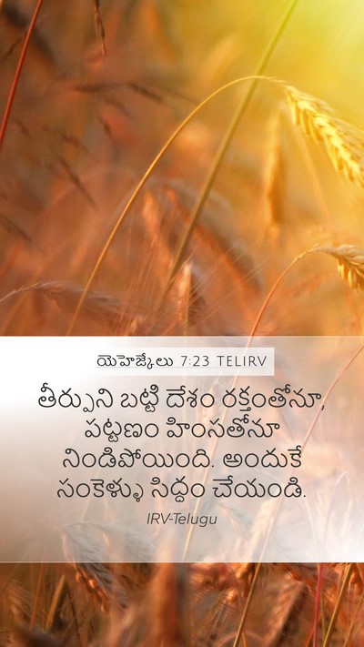 యెహెజ్కేలు 7:23 TELIRV Bible Verse Image