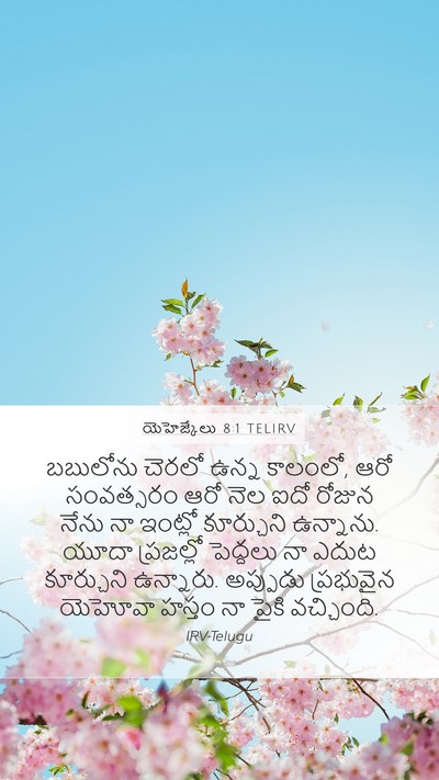 యెహెజ్కేలు 8:1 TELIRV Bible Verse Image