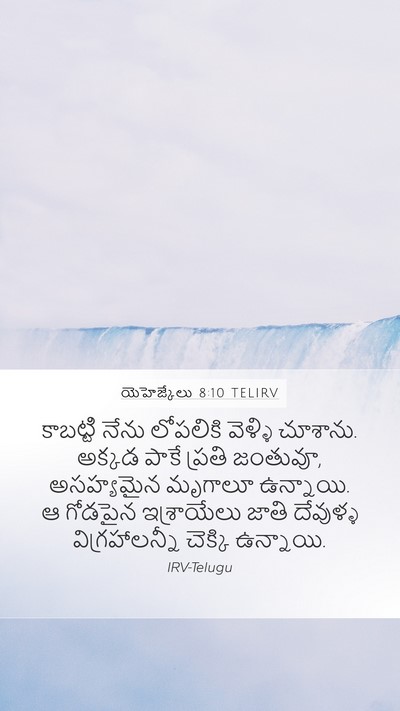 యెహెజ్కేలు 8:10 TELIRV Bible Verse Image