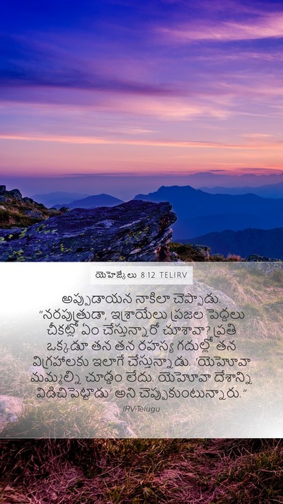 యెహెజ్కేలు 8:12 TELIRV Bible Verse Image