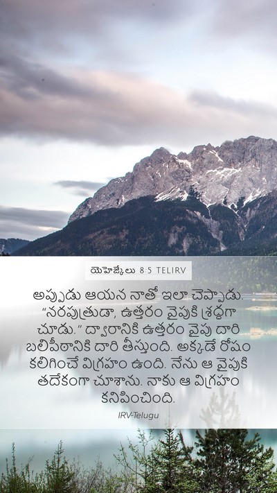 యెహెజ్కేలు 8:5 TELIRV Mobile Phone Wallpaper - అప్పుడు ఆయన నాతో - Mobile Bible Verse Wallpaper