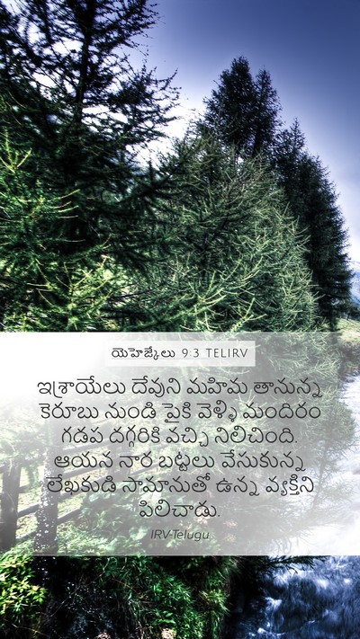యెహెజ్కేలు 9:3 TELIRV Bible Verse Image
