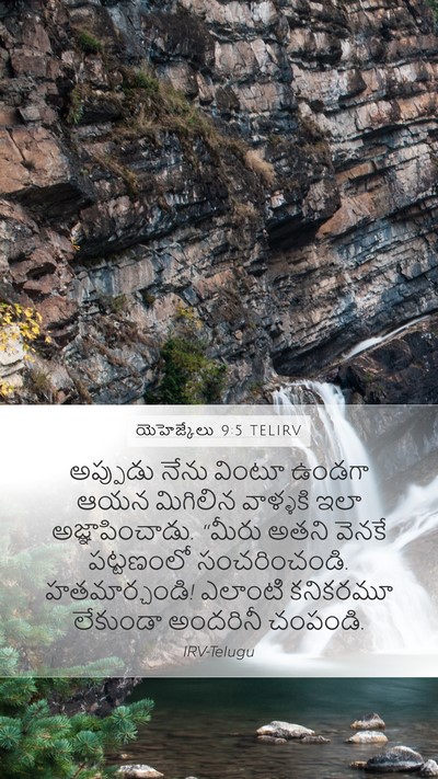 యెహెజ్కేలు 9:5 TELIRV Bible Verse Image