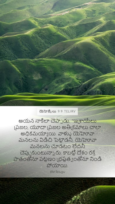 యెహెజ్కేలు 9:9 TELIRV Bible Verse Image