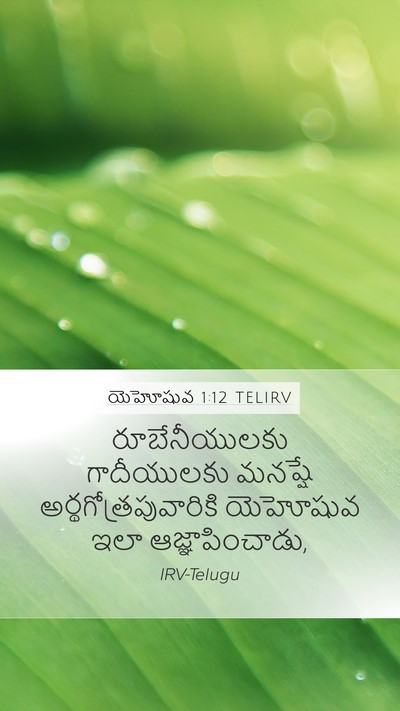 యెహోషువ 1:12 TELIRV Bible Verse Image