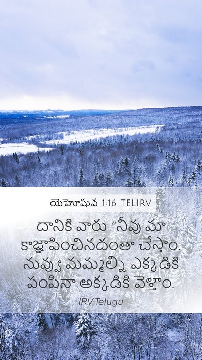 యెహోషువ 1:16 TELIRV Bible Verse Image