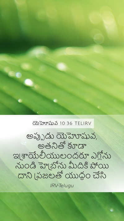 యెహోషువ 10:36 TELIRV Bible Verse Image