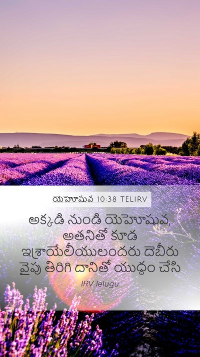 యెహోషువ 10:38 TELIRV Bible Verse Image