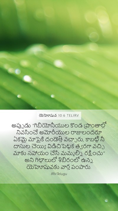యెహోషువ 10:6 TELIRV Bible Verse Image