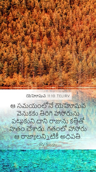 యెహోషువ 11:10 TELIRV Mobile Phone Wallpaper - ఆ సమయంలోనే - Mobile Bible Verse Wallpaper