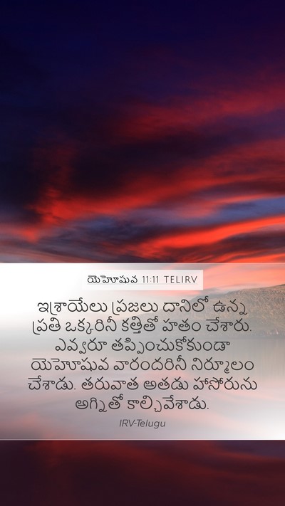 యెహోషువ 11:11 TELIRV Bible Verse Image