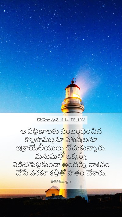 యెహోషువ 11:14 TELIRV Bible Verse Image