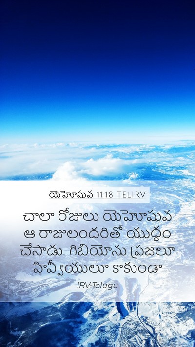 యెహోషువ 11:18 TELIRV Bible Verse Image