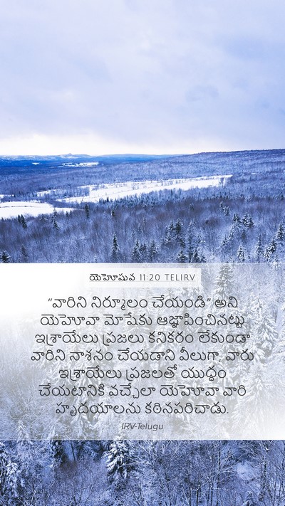 యెహోషువ 11:20 TELIRV Bible Verse Image