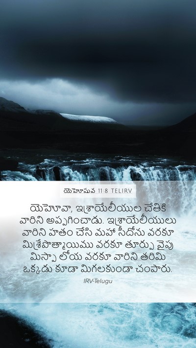 యెహోషువ 11:8 TELIRV Bible Verse Image
