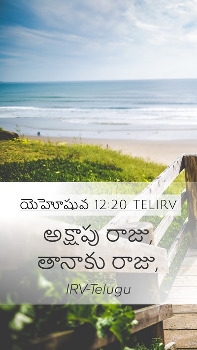 యెహోషువ 12:20 TELIRV Mobile Phone Wallpaper - అక్షాపు రాజు, - Mobile Bible Verse Wallpaper