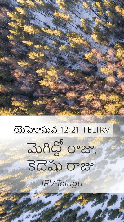 యెహోషువ 12:21 TELIRV Mobile Phone Wallpaper - మెగిద్దో రాజు, - Mobile Bible Verse Wallpaper