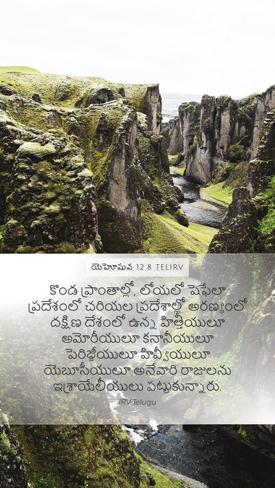 యెహోషువ 12:8 TELIRV Bible Verse Image