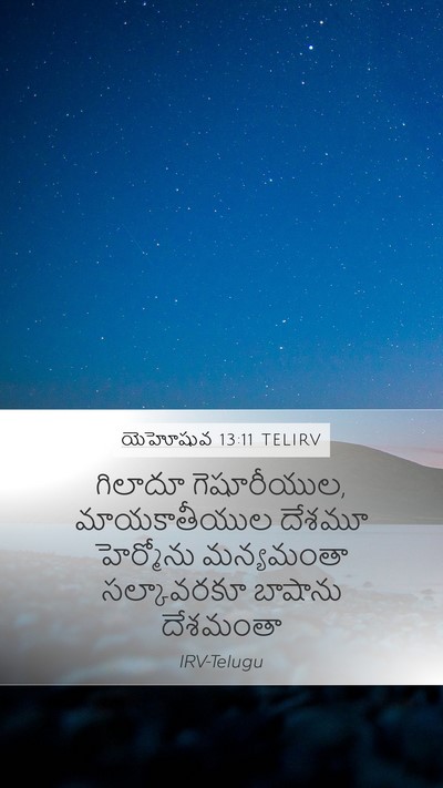 యెహోషువ 13:11 TELIRV Bible Verse Image