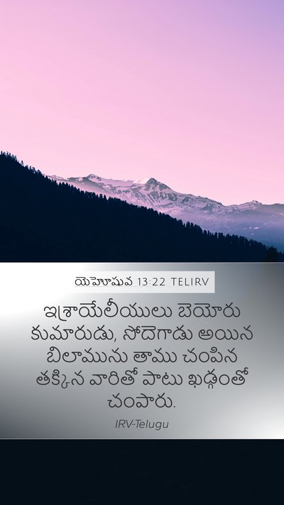 యెహోషువ 13:22 TELIRV Bible Verse Image