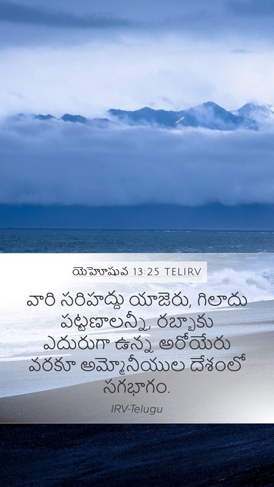యెహోషువ 13:25 TELIRV Bible Verse Image