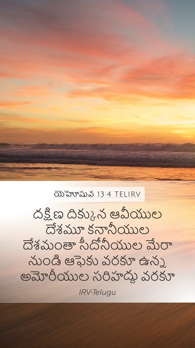 యెహోషువ 13:4 TELIRV Bible Verse Image