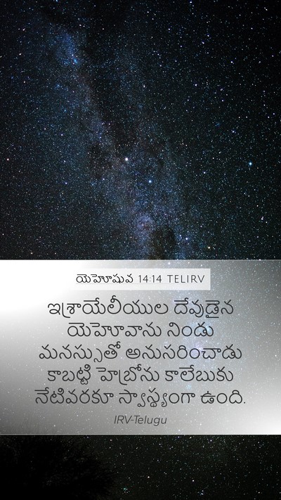 యెహోషువ 14:14 TELIRV Bible Verse Image