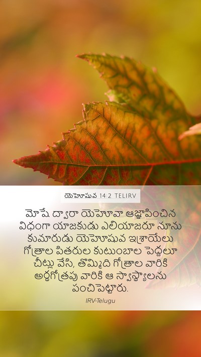 యెహోషువ 14:2 TELIRV Bible Verse Image