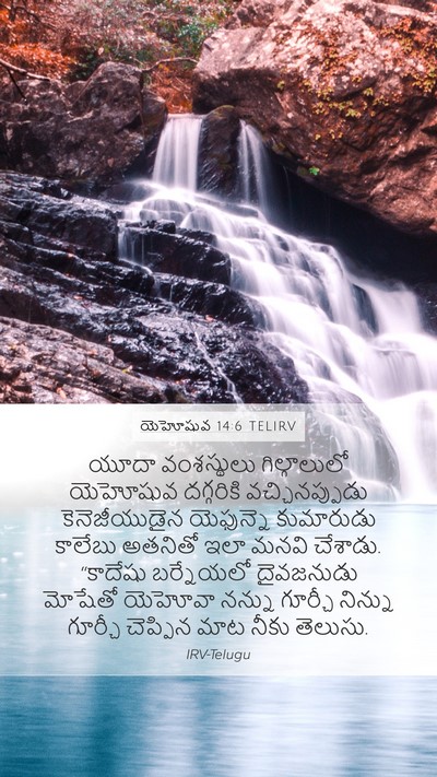 యెహోషువ 14:6 TELIRV Bible Verse Image