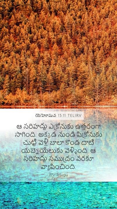 యెహోషువ 15:11 TELIRV Mobile Phone Wallpaper - ఆ సరిహద్దు - Mobile Bible Verse Wallpaper
