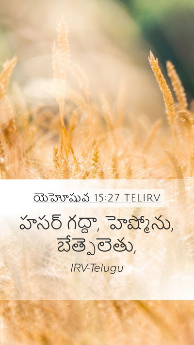 యెహోషువ 15:27 TELIRV Mobile Phone Wallpaper - హసర్ గద్దా, - Mobile Bible Verse Wallpaper