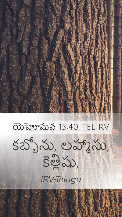 యెహోషువ 15:40 TELIRV Mobile Phone Wallpaper - కబ్బోను, లహ్మాసు, - Mobile Bible Verse Wallpaper