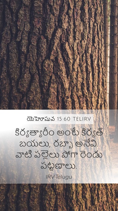 యెహోషువ 15:60 TELIRV Bible Verse Image
