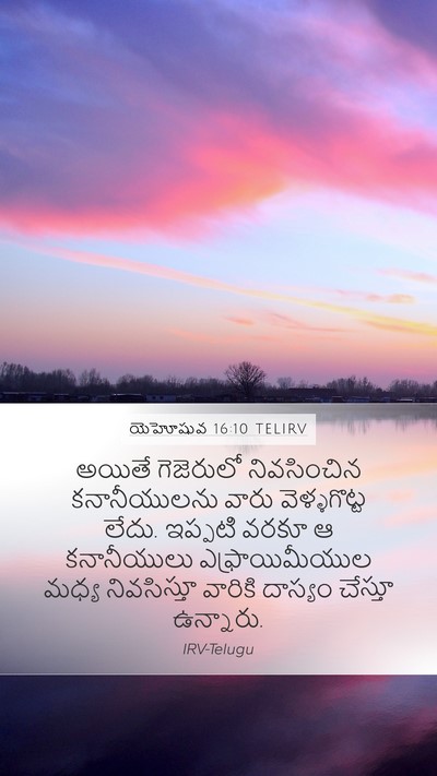 యెహోషువ 16:10 TELIRV Bible Verse Image