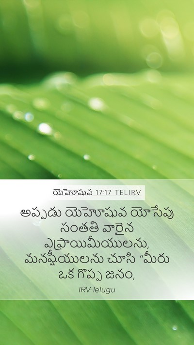 యెహోషువ 17:17 TELIRV Bible Verse Image