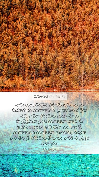యెహోషువ 17:4 TELIRV Bible Verse Image
