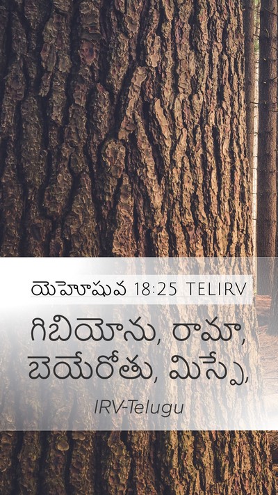 యెహోషువ 18:25 TELIRV Bible Verse Image