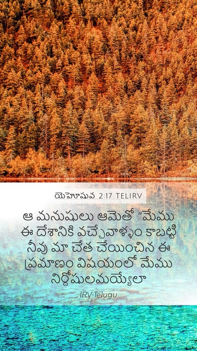 యెహోషువ 2:17 TELIRV Mobile Phone Wallpaper - ఆ మనుషులు ఆమెతో - Mobile Bible Verse Wallpaper