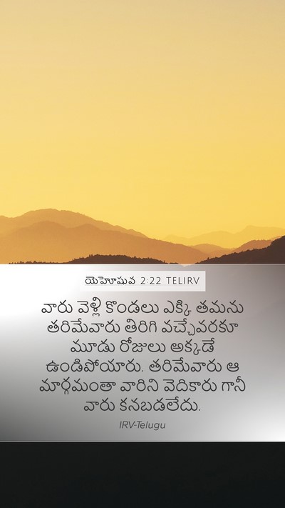 యెహోషువ 2:22 TELIRV Mobile Phone Wallpaper - వారు వెళ్లి - Mobile Bible Verse Wallpaper